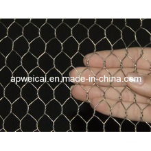 Galvanized Chicken Wire (Direct Factory Price)